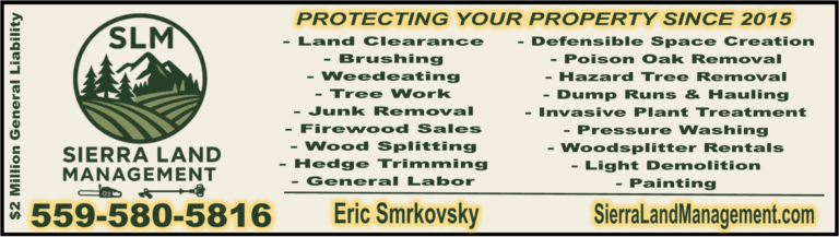 SIERRA LAND MANAGEMENT - QTR